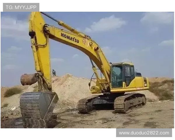 本落台开奖结果最新公布与走势分析